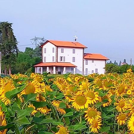 קרספלאנו La Collinetta B&B מראה חיצוני תמונה