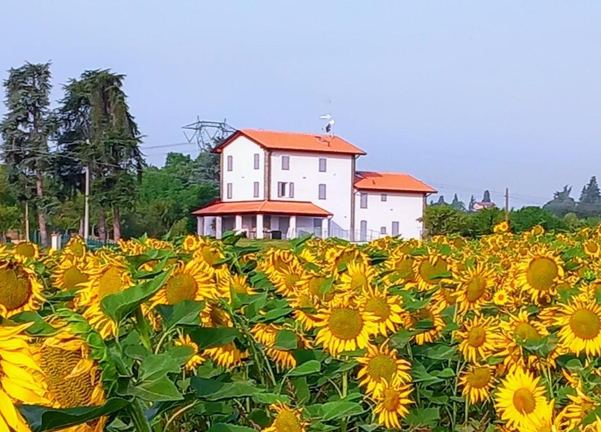 קרספלאנו La Collinetta B&B מראה חיצוני תמונה