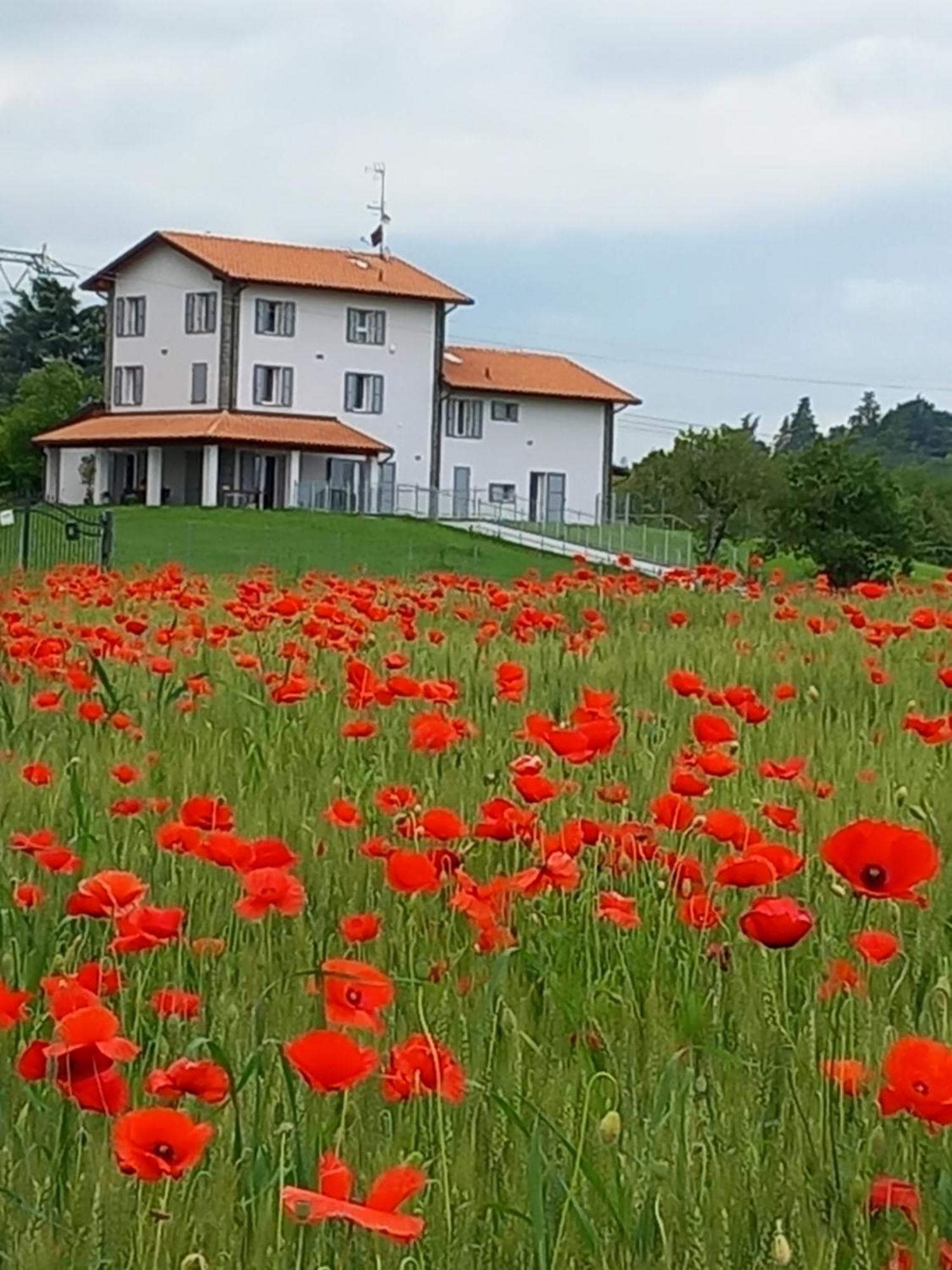 קרספלאנו La Collinetta B&B מראה חיצוני תמונה